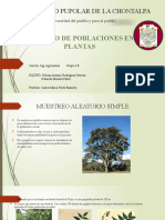 Universidad Pupolar de La Chontalpa: Calculo de Poblaciones en Plantas