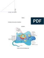 Tugas1 Ade Triani - F1a121016 - Biologi Dasar