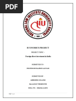 Economics Project: Foreign Direct Investment in India