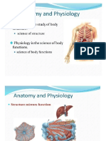 Anatomy Chapter1