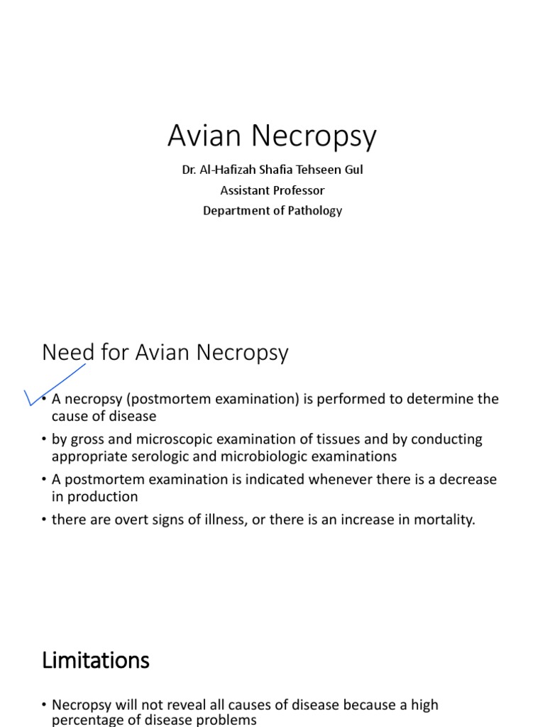 Avian Necropsy PDF Autopsy Birds