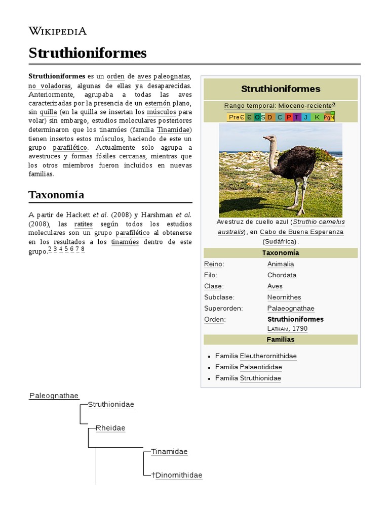 Struthioniformes | PDF | Dinosaurios | Ornitología