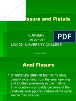 Anal Fissure and Fistula