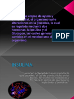 Insulina-glucagon