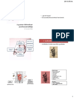 8 A Gyomor Belrendszer Pszichoszomatikaja