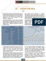 RCB Anual 2019 - Indonesia