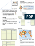 Ficha Trabajo N0 5