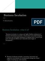 Business Incubation: V Balachandra