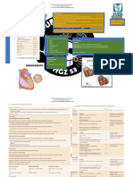 ENDOCARDITIS