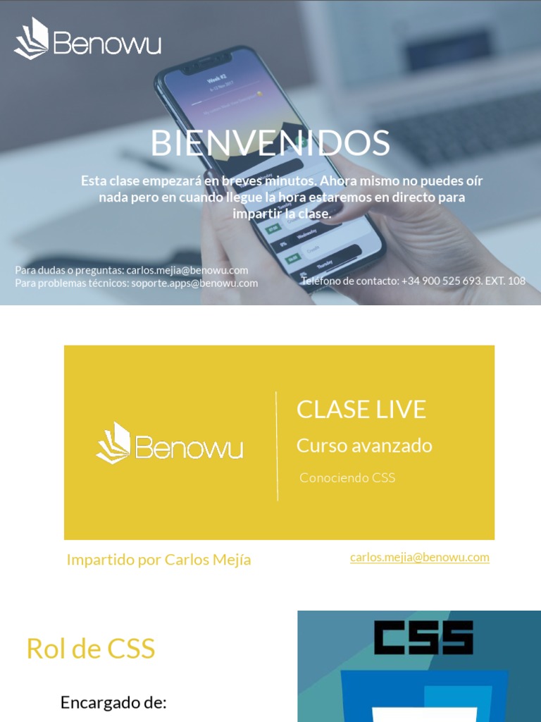 Leccion 18 Clase 3 CSS | PDF | Hipertexto | Comunicación