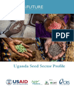 Uganda Seed Sector Profile: Recommendations