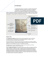 Examen Fisico Del Abdomen