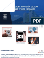 Clase N°1 - Procesos Vitales