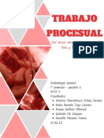 PROCESUAL 4 - KDTC