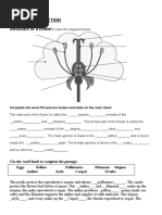 Plant Reproduction Guide STR FLOWER and POLINATION