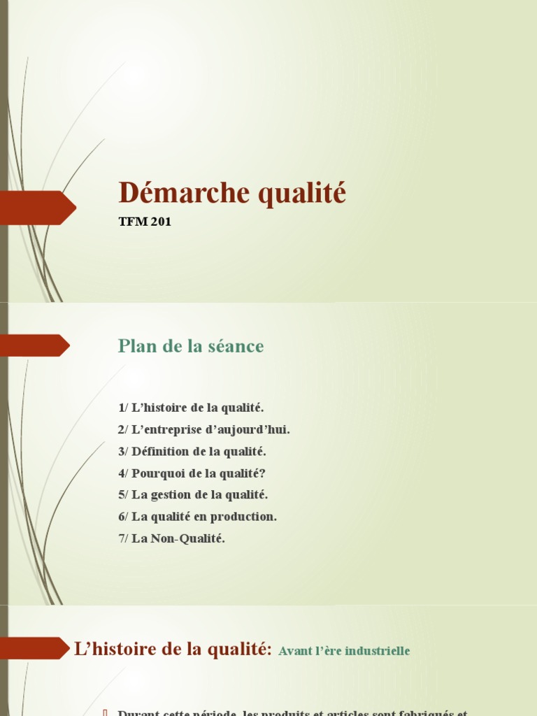 Démarche qualité Partie 1 | PDF | Management de la qualité | Business