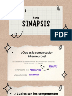 Presentación Diapositiva SINAPSIS