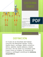 Sistema Oseo Funciones y Enfermedades