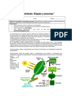 5 BIOLOGIA Fotosíntesis Retroalimentada