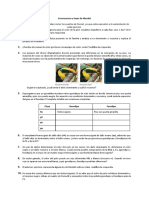 Cromosomas y Leyes de Mendel