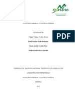 Auditoria General y Control Woden Documento Final