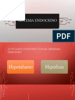 Estructura y Fisiología Del Sistema Endocrino