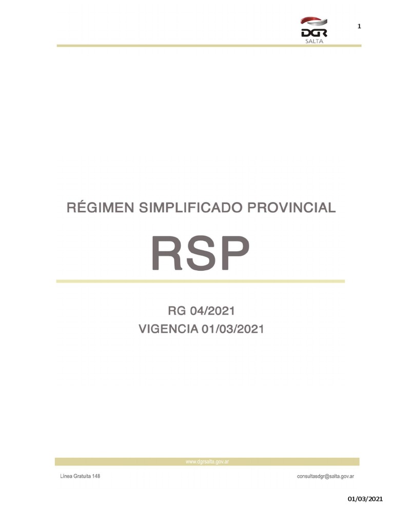 Instructivo RSP | PDF | Impuestos | Contribuyente
