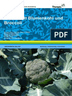 2015 Kulturblatt Blumenkohl Und Broccoli