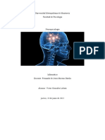 Neuro Psicologia