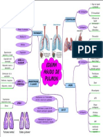 Edema Agudo Pulmonar