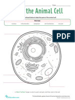 Label The Animal Cell: Name - Date