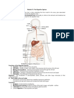 Module 13 - The Digestive System