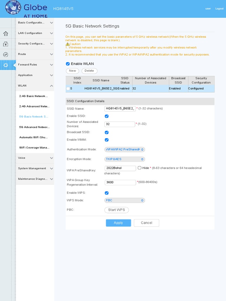 5G Basic Network Settings: Enable WLAN | PDF | Wireless Lan | Wi Fi