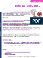 Insuficiencia Cervical (Cerclaje)