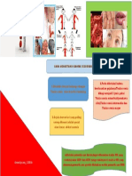 Poster Jenis Kelainan Hematologi