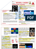 Valvulopatias Mitral y Tricuspídea - Cardiologia