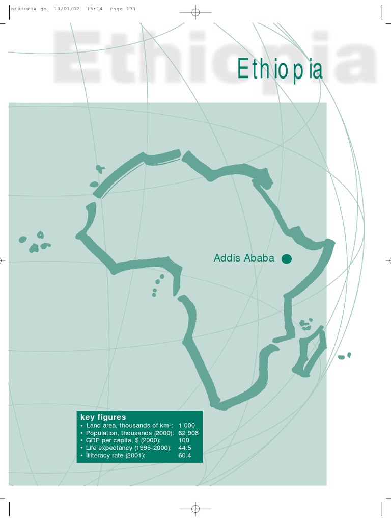Ethiopia Average Income Per Capita