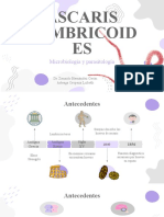 Ascaris Lumbricoides