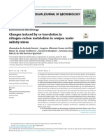 Changes Induced by Co-Inoculation in Nitrogen-Carbon Metabolism in Cowpea Under Salinity Stress