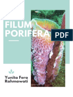 Filum Porifera