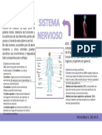 Sistema Nervioso Actividadpdf