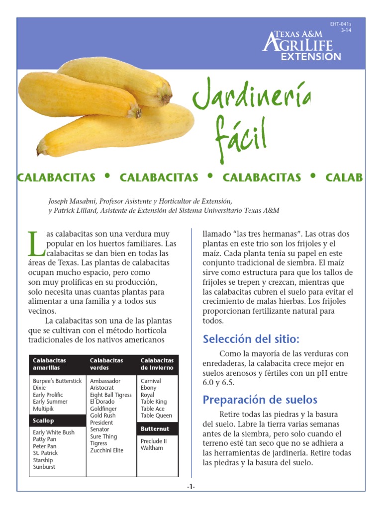How To Grow Squash Spanish PDF Vegetales Plantas