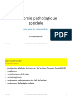 1 - Cours Neuropathologie Introduction Et Gliomes FMPR Anapath Speciale