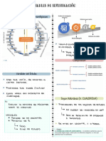 Metodología de La Investigación Cuantitativa Apuntes