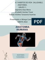 Anatomia Humana