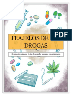 SEMINARIO 6 FLAJELOS DE LAS DROGAS