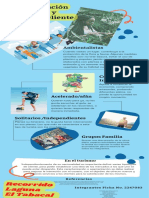 Infografia Tabacal Ok