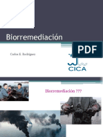 Biorremediación