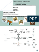 Division Phaeophyts