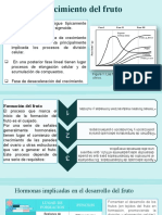 Crecimiento de Fruto Manuel
